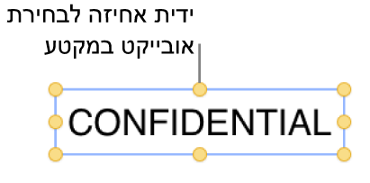 אובייקט עם ידיות אחיזה לבחירה.