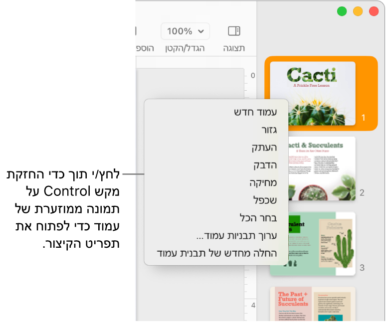 התצוגה ״תמונות ממוזערות של עמודים״ עם תמונה ממוזערת אחת נבחרת ותפריט הקיצור פתוח.