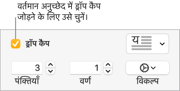 ड्रॉप कैप चेकबॉक्स चुना जाता है, और उसके दाईं ओर पॉप-अप मेनू दिखाई देता है; पंक्ति ऊँचाई, वर्णों की संख्या के नियंत्रण और अन्य विकल्प उसके नीचे दिखाई देते हैं।