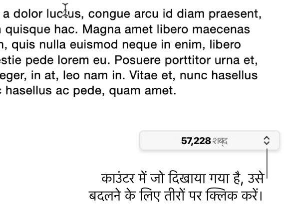 दस्तावेज़ के शब्दों की संख्या दिखाता शब्द गणना मेनू।