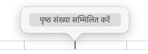 हेडर के नीचे “पृष्ठ संख्या डालें” बटन।