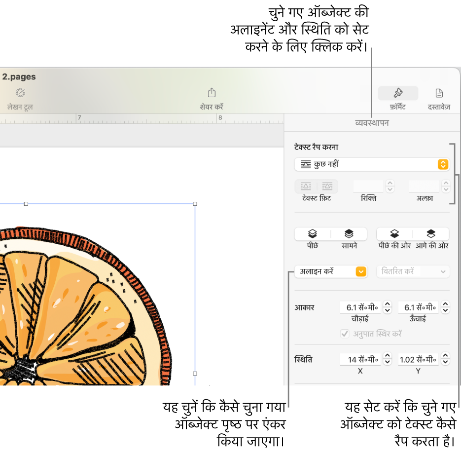 “व्यवस्थित करें” साइडबार प्रदर्शित करने वाला “फ़ॉर्मैट करें” मेनू। ऑब्जेक्ट प्लेसमेंट सेटिंग्ज़ “व्यवस्थित करें” साइडबार के शीर्ष पर हैं और उसके नीचे “टेक्स्ट रैप करें” सेटिंग्ज़ हैं।