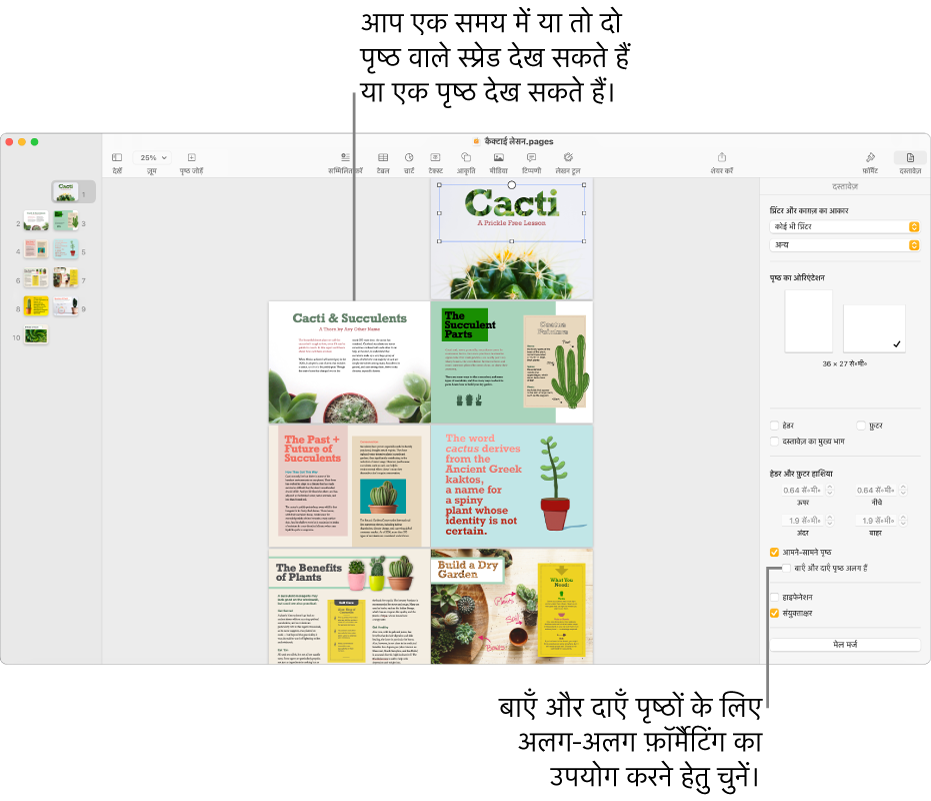 Pages विंडो जिसमें पृष्ठ थंबनेल और दो पृष्ठों में फैले हुए पृष्ठ दिखाई दे रहे हैं। दाईं ओर दस्तावेज़ साइडबार में, “बाएँ और दाएँ पृष्ठ अलग होते हैं” चेकबॉक्स अचयनित है।