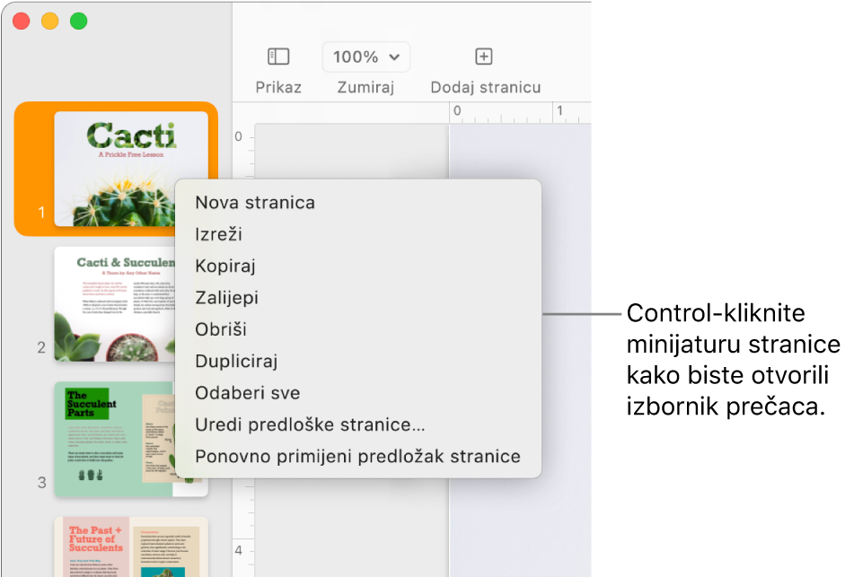 Prikaz minijatura stranica s jednom odabranom minijaturom stranice i otvorenim izbornikom prečaca.