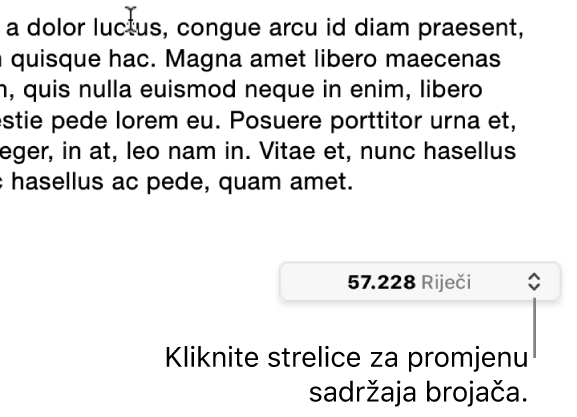 Izbornik s brojem riječi koji prikazuje broj riječi u dokumentu.