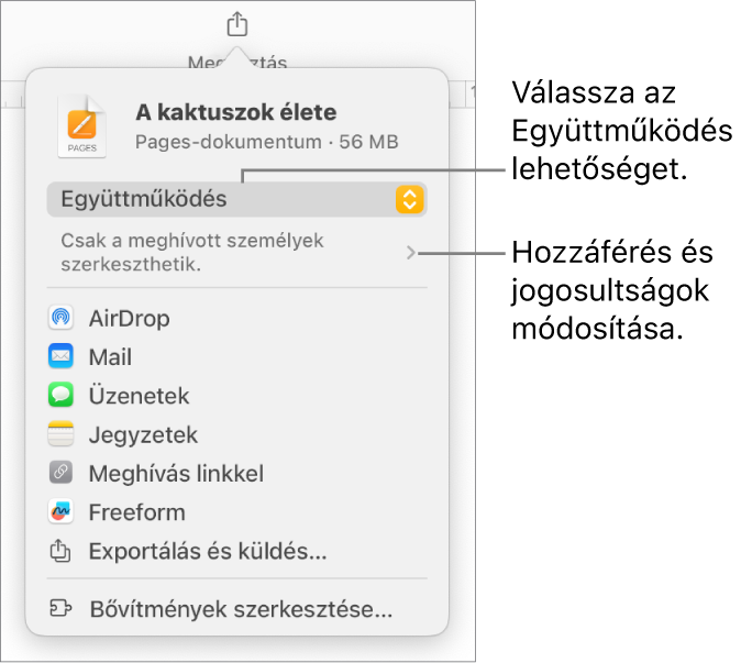 A Megosztás menü a felül kijelölt Együttműködés lehetőséggel, és az alatt látható hozzáférési és jogosultsági beállításokkal.