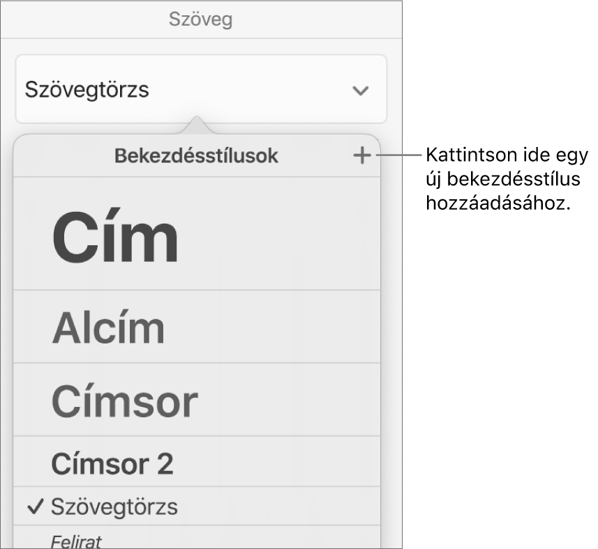 A Bekezdésstílusok menü az Új stílus gombot jelölő felirattal.
