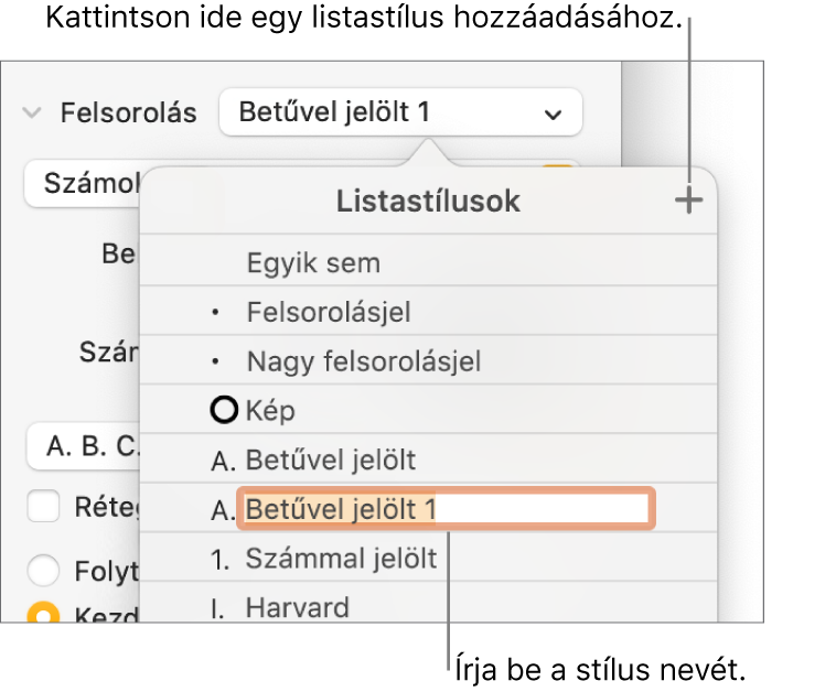 A Listastílusok előugró menü a felső sarokban található Hozzáadás gombbal és egy helyőrző stílusnévvel, amelynek szövege ki van jelölve.