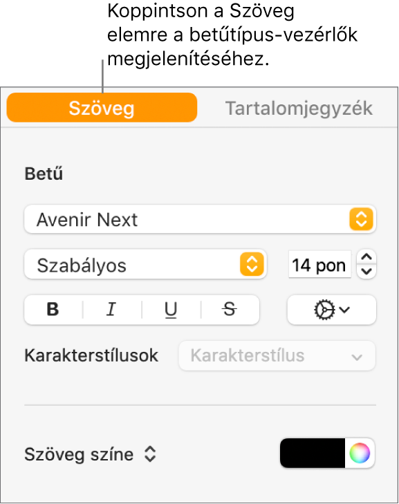 A Formátum eszközsor a kijelölt Szöveg lappal, és a betűtípus, betűméret módosítására és karakterstílusok hozzáadására szolgáló betűtípusvezérlők.