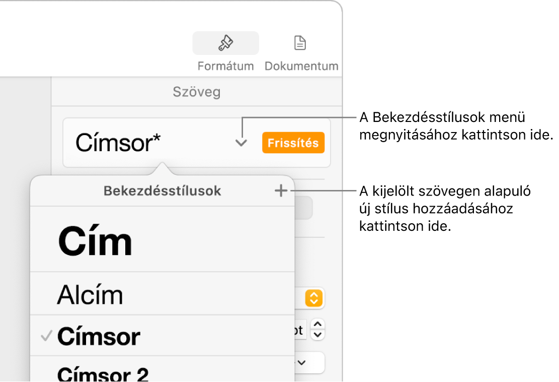 A Bekezdésstílusok menü a stílusok hozzáadására vagy módosítására szolgáló vezérlőkkel.