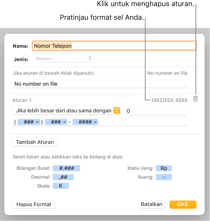 Jendela format sel khusus dengan kontrol untuk memilih pemformatan angka khusus.