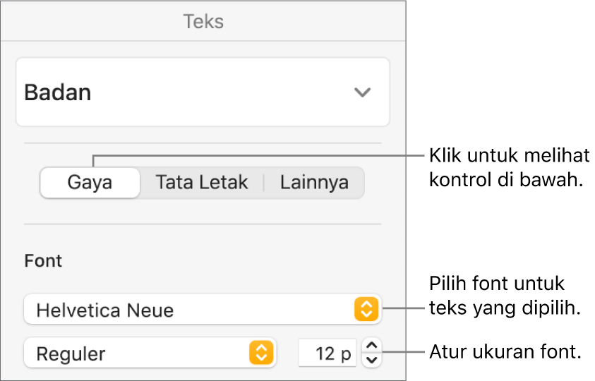 Kontrol teks di bagian Gaya pada bar samping Format untuk mengatur font dan ukuran font.