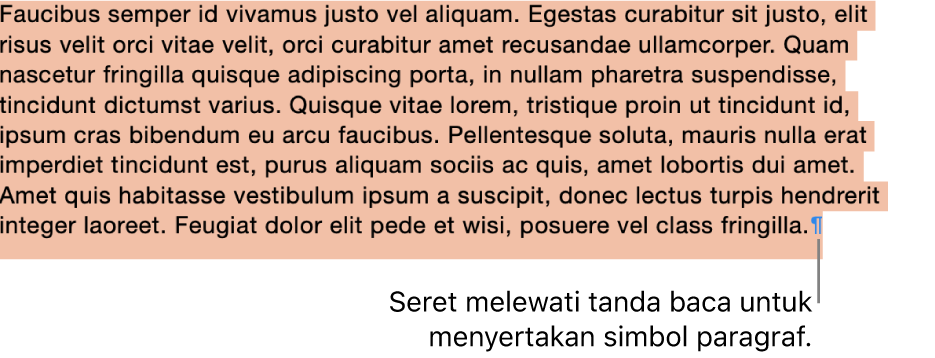 Paragraf dipilih, dengan simbol paragraf disertakan di pilihan.