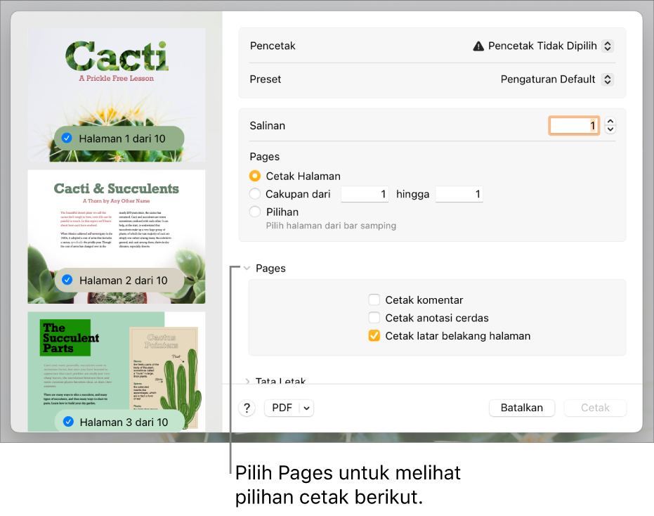 Dialog cetak dengan kontrol untuk pencetak, preset, salinan, dan cakupan halaman. Pages dipilih di menu pop-up di bawah pengaturan untuk cakupan halaman, diikuti oleh kotak centang untuk mencetak komentar, mencetak anotasi cerdas, dan mencetak latar belakang halaman.