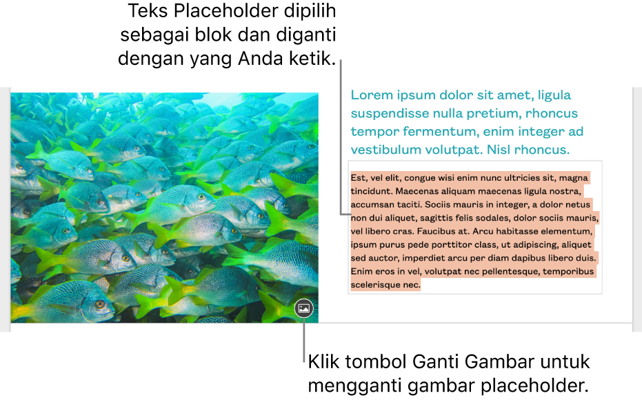 Teks dan gambar placeholder.