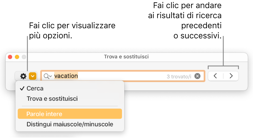 La finestra “Trova e sostituisci” con il menu a comparsa mostrante le opzioni per Trova, “Trova e sostituisci”, “Parole intere” e “Maiuscole/minuscole”. Le frecce a destra consentono di passare ai risultati di ricerca successivi o precedenti.