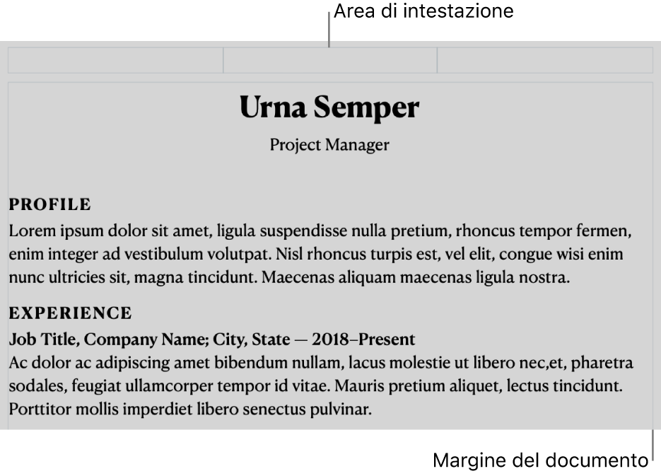 Vista layout che mostra l’area di intestazione e i margini del documento.