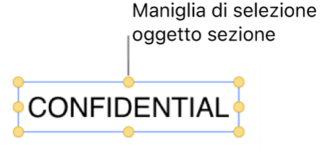 Oggetto con maniglie di selezione.