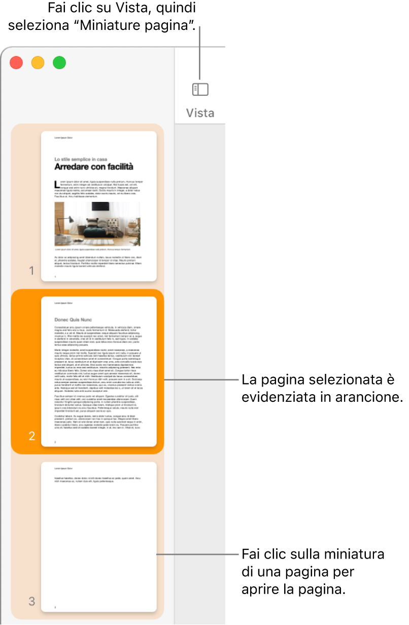 La barra laterale sul lato sinistro della finestra di Pages con la vista “Miniature pagina” aperta e una pagina selezionata evidenziata in arancione scuro.