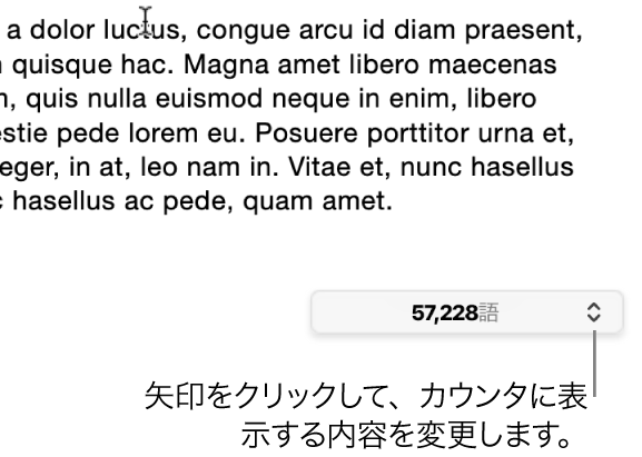 単語数のメニュー。書類の単語数が表示された状態。