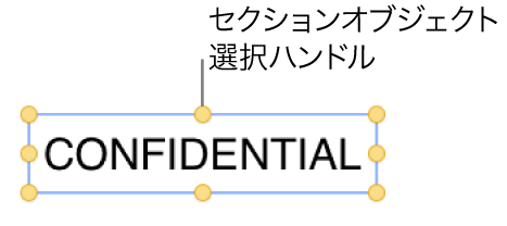 選択ハンドルのあるオブジェクト。