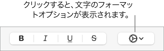 「ボールド」、「イタリック」、「アンダーライン」、および「取り消し線」ボタンの右に「その他のテキストオプション」ポップアップメニューがあります。