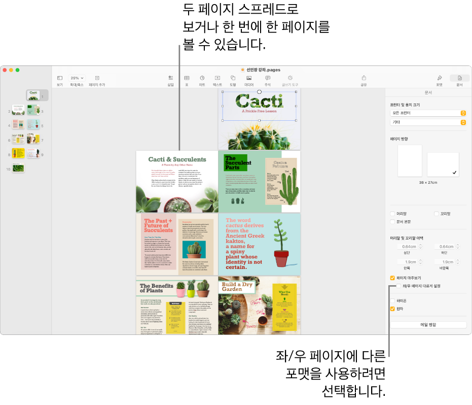 페이지 썸네일과 두 페이지 스프레드로 보이는 문서 페이지가 있는 Pages 윈도우. 오른쪽의 문서 사이드바에서 ‘좌/우 페이지 다르게 설정’ 체크상자 선택이 해제됨.