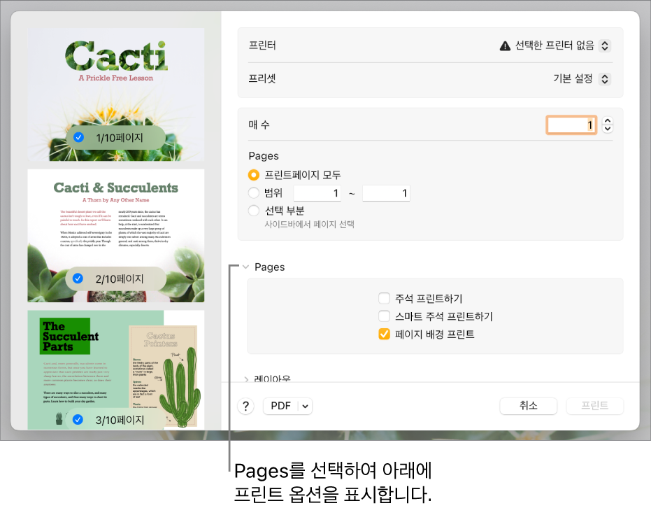 프린트 대화상자에 프린터, 프리셋, 복사본 및 페이지 범위를 조절하는 제어기가 있음. 페이지 범위 설정 아래의 팝업 메뉴에서 Pages가 선택되어 있고 주석 프린트하기, 스마트 주석 프린트하기 및 페이지 배경 프린트의 체크상자가 선택되어 있음.