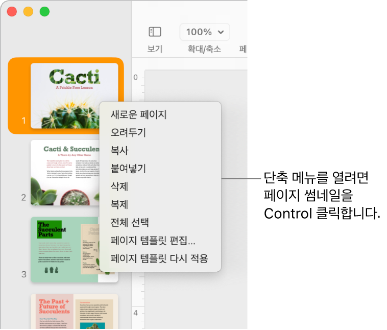 하나의 썸네일이 선택되어 있고 단축키 메뉴가 열린 페이지 썸네일 보기.