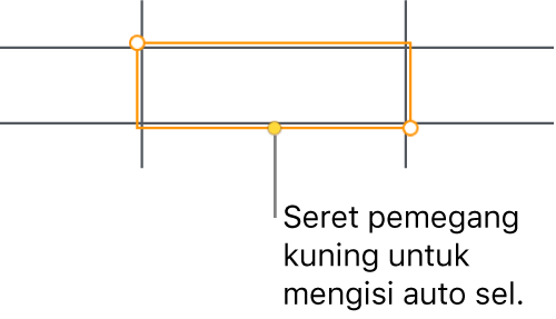 Sel yang dipilih dengan pemegang kuning yang boleh anda seret untuk mengisi auto sel.