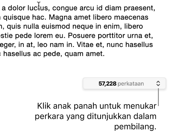Menu kiraan perkataan yang menunjukkan bilangan perkataan dalam dokumen.