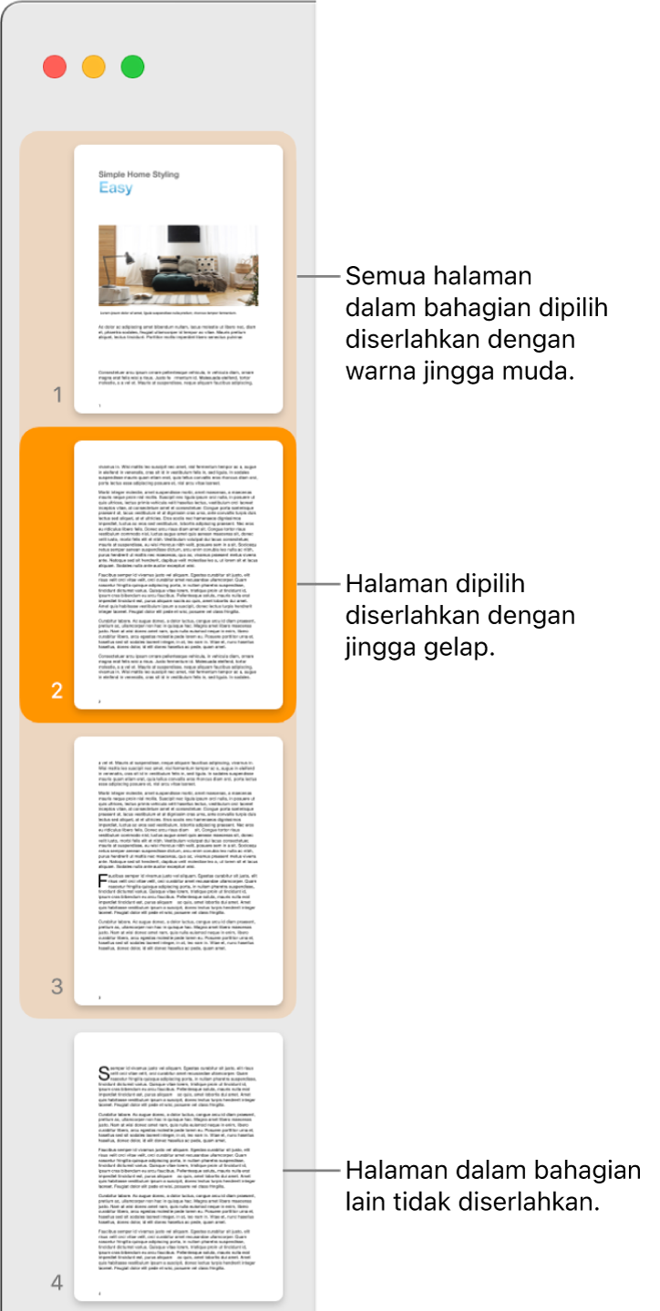 Bar sisi Paparan Imej Kecil dengan halaman dipilih diserlahkan dengan warna jingga gelap dan semua halaman dalam bahagian dipilih diserlahkan dengan warna jingga muda.