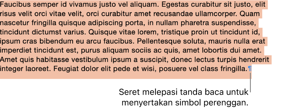 Perenggan dipilih, dengan simbol perenggan disertakan dalam pilihan.