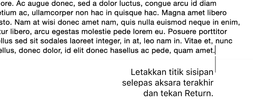 Titik sisipan diletakkan selepas noktah dalam ayat terakhir perenggan.