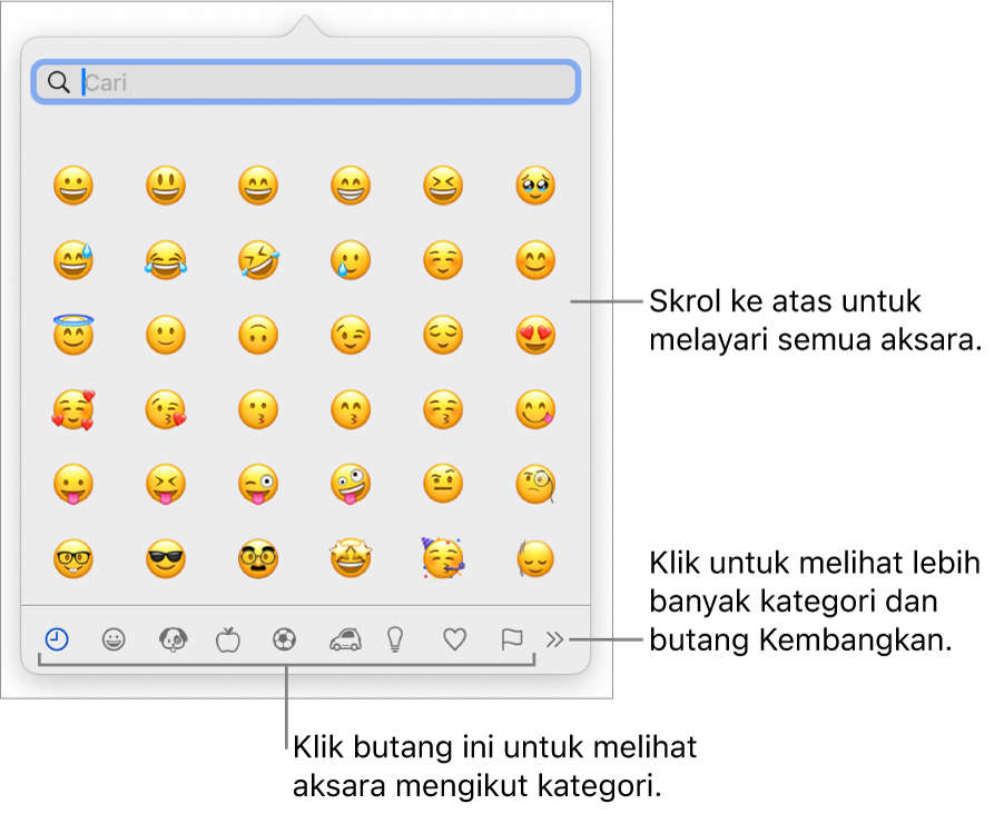 Pemapar Aksara menunjukkan emoji, butang untuk kategori simbol berbeza di bahagian bawah dan butang untuk menunjukkan lebih banyak kategori dan butang Kembangkan.