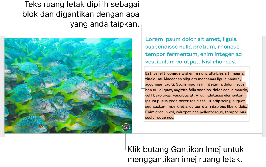 Teks dan imej ruang letak.