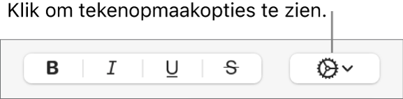 Het pop‑upmenu voor meer tekstopties rechts van de knoppen voor vet, cursief, onderstrepen en doorhalen.