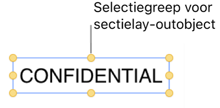 Een object met selectiegrepen.