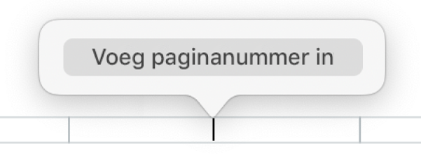 De knop 'Voeg paginanummer in' onder de koptekst.