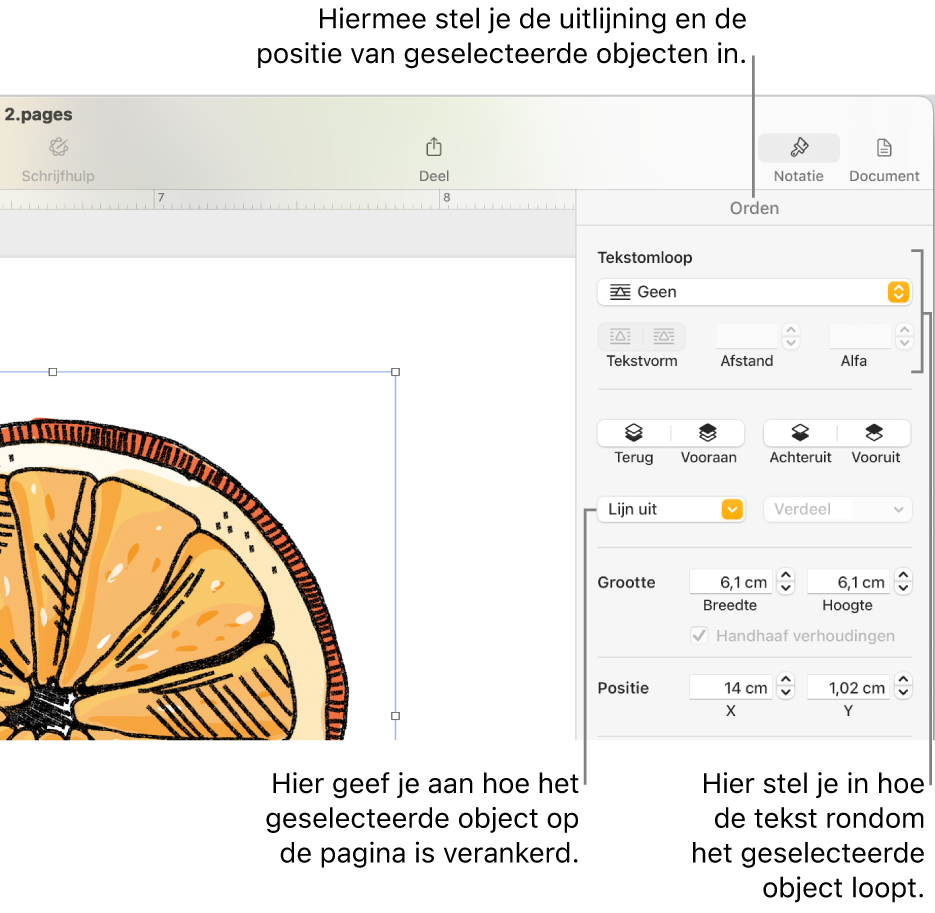 De navigatiekolom 'Opmaak' met het tabblad 'Orden'. Boven in de navigatiekolom staan de instellingen voor 'Plaatsing object' en daaronder staan de instellingen voor 'Tekstomloop'.