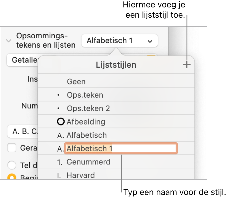 Het pop‑upmenu 'Lijststijlen' met een plusknop in de rechterbovenhoek en een tijdelijke stijlnaam waarvan de tekst geselecteerd is.