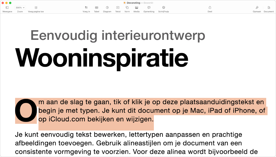 Een geopend document waarin plaatsaanduidingstekst is geselecteerd.