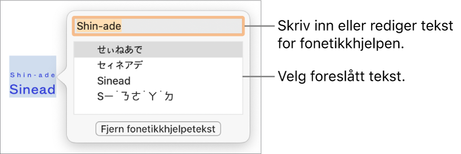 Fonetikkhjelpen er åpnet på et ord, med forklaringer for tekstfelt og foreslått tekst.