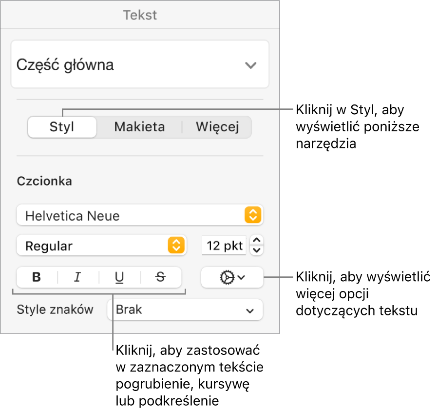 Narzędzia stylu na pasku bocznym Format z objaśnieniami wskazującymi przyciski: Pogrubienie, Kursywa, Podkreślenie oraz Przekreślenie.