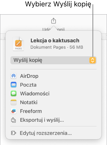 Menu udostępniania z wybraną opcją Wyślij kopię (na górze).