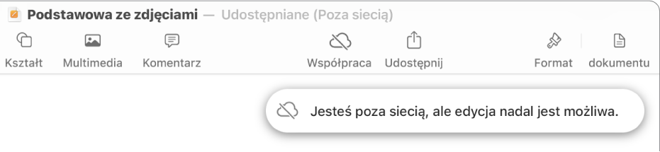 Przyciski znajdują się u góry ekranu; przycisk współpracy wyświetlany jest jako chmura przekreślona ukośną linią. Alert zawierający następującą informację: Brak połączenia z siecią, ale edycja nadal jest możliwa.