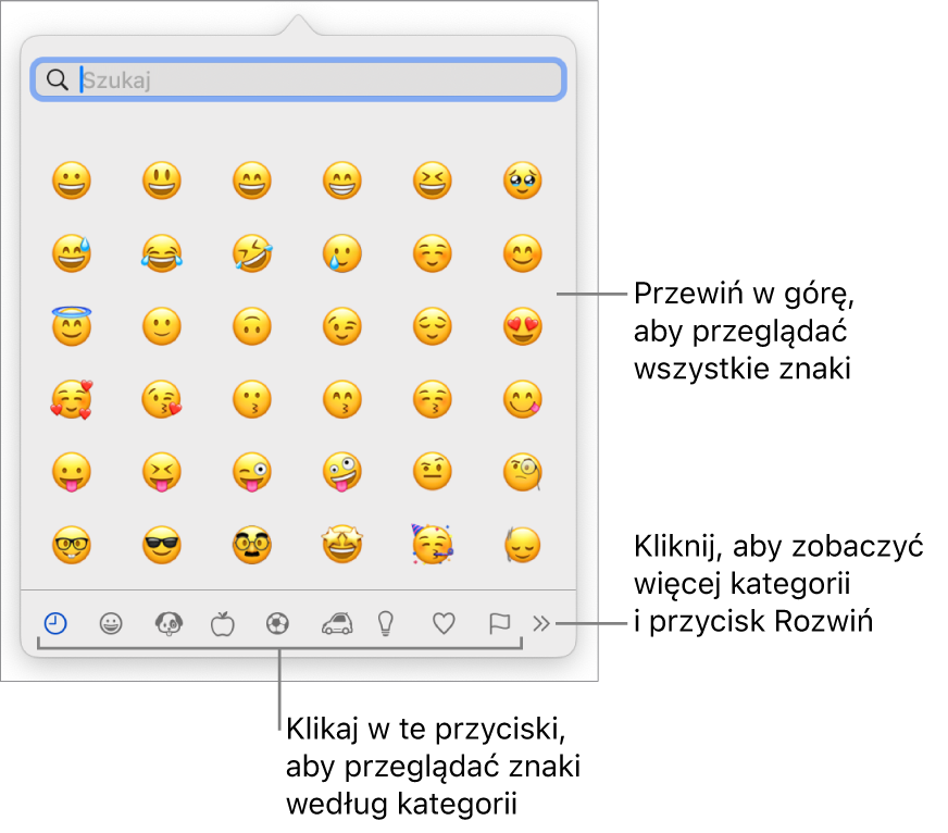 Okno Podgląd znaków wyświetlająca emoji, przyciski różnych kategorii symboli na dole oraz przycisk umożliwiający wyświetlenie większej liczby kategorii i przycisk Rozwiń.