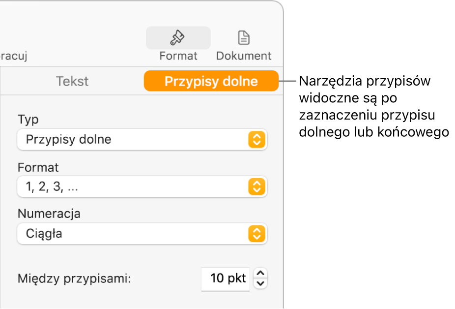 Panel przypisów dolnych oraz opcje menu podręcznego Typ, Format, Numeracja i odstęp między przypisami.
