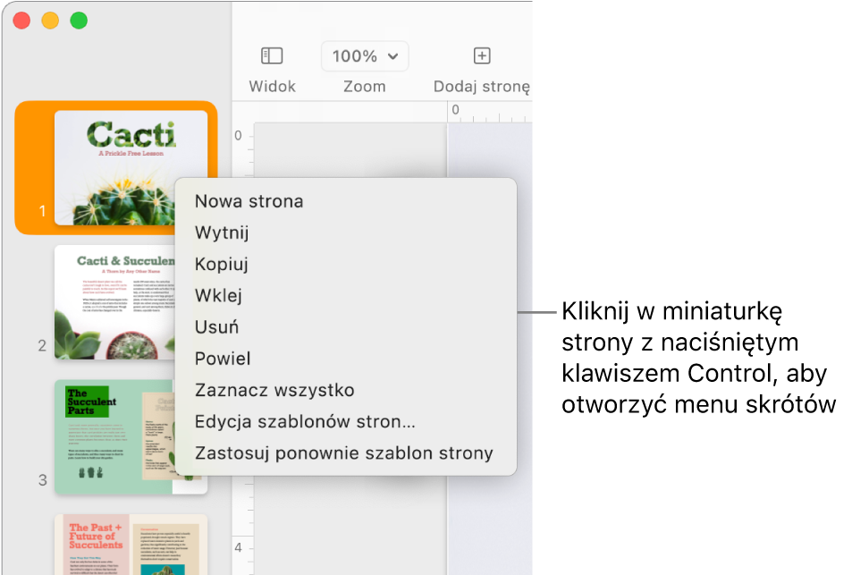 Widok miniaturek stron zawierający jedną zaznaczoną miniaturkę oraz otwarte menu skrótów.