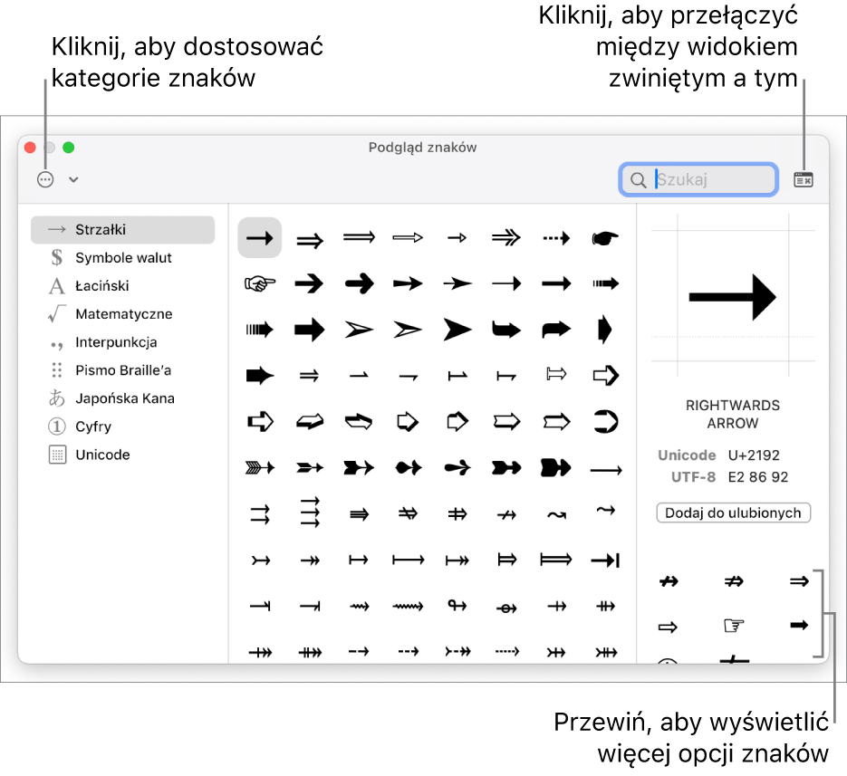 Rozwinięte okno przeglądarki znaków wyświetlające znaki specjalne i symbole, menu dla różnych kategorii symboli po lewej stronie oraz przycisk w prawym górnym rogu, który umożliwia powrót do widoku zwiniętego.